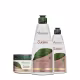Kit Arvensis Anti-Quebra Shampoo Leave-in e Máscara (3 produtos) (1)