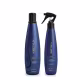 Kit Aneethun Linha A Shampoo 300ml + Spray Multibenefícios 150ml (2)