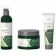 Kit Grandha Revitamax Nutrição Profunda