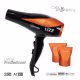 Lizz Professional Vector AC V12 110V 2200W - Secador de Cabelo (4)