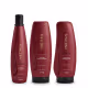 Aneethun Force System Kit Shampoo 300ml + Máscara 250ml + Finalizador 250ml (1)