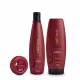 Aneethun Force System - Kit Shampoo 300ml + Máscara 250ml + Dose Concentrada  25g (1)