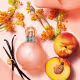 Kit Perfume Feminino Fantasy Eau De Parfum 100ml  e Naked Fantasy Eau De Toilette - 30ml (2)