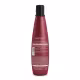 Kit Aneethun Force System Shampoo 300ml + Finalizador 250g (5)