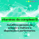 Vitamine-se Regular CoQ10 + Complexo B - Suplemento Alimentar (30 Cápsulas) (3)