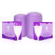 Kit 2 Coletores Menstruais Inciclo + 2 Cápsulas Esterilizadoras - Teen (2UN - até 19 anos e sem filhos) (1)