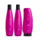 Kit Aneethun Color System Shampoo 300ml (2 unidades) + Finalizador 250g - 3 Produtos (1)