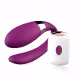 Vibrador de Casal com Controle sem Fio Crypl Dibe - Roxo (1)
