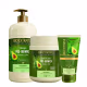 Kit Bio Extratus Pós-Química Shampoo Banho de Creme M e Finalizador (3 produtos) (1)