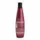 Kit Aneethun Force System Shampoo 300ml e Máscara 250g (2)