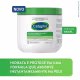 Kit Cetaphil Gel Creme Rápida Absorção 453g + Loção de Limpeza 120ml (6)