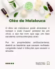 Oleo Essencial de Melaleuca Tea Tree Dermare - 10ml (3)