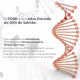 Creme Bioestimulador Collagemax ExoNeck, Cosmobeauty, Rejuvenescimento Pescoço e Colo 90G (3)