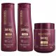 Kit Bio Extratus Shitake Plus Com 3 (1)