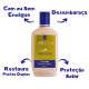 KIt Aneethun Linha A Shampoo, Creme de Silicone e Spray (3)