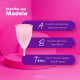 Kit Inciclo Coletor Menstrual Modelo A + Panelinha Esterilizadora (2 Produtos) (3)