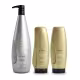 Kit Aneethun Blond System - Shampoo Matizante 1L + Máscara Iluminadora 250g + Finalizador Termoativado 250g (1)