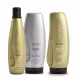 Kit Aneethun Blond System - Shampoo Silver 300ml + Máscara Matizante 250g +  Finalizador Termoativado 250g (1)