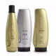 Kit Aneethun Blond System - Shampoo Silver 300ml + Máscara Matizante 250g +  Finalizador Termoativado 250g (1)
