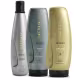 Kit Matizante Blond System Cinza Completo Aneethun Profissional (1)