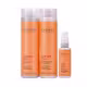 Cadiveu Essentials Bye Bye Frizz Kit Duo + Leave In 120ml (1)
