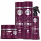 Kit Pós-Progressiva Haskell Shampoo+ Condicionador+ Máscara 300ml/ Fluido (1)