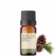 Aroom Aromaterapia Pinheiro Silvestre - Óleo Essencial 10ml (4)