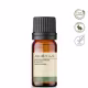 Aroom Aromaterapia Pinheiro Silvestre - Óleo Essencial 10ml (3)