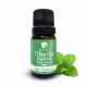 Oleoterapia Brasil Menta Piperita - Óleo Essencial 10ml (1)