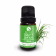 Oleoterapia Brasil Capim Limão - Óleo Essencial 10ml (1)
