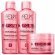 Felps Profes XForce Shamp 250ml + Condic 250ml + Masc 300g