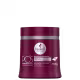 Shampoo Acidificante Haskell Máscara Progressiva 500g+Escova (2)