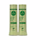 Kit Shampoo e Condicionador Antiqueda Jaborandi Haskell 300ml (1)