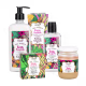 Kit Vegetal do Brasil Rosa Mosqueta (5 Produtos) (1)