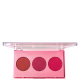 Phállebeauty #TrabalhadanaBeleza - Paleta de Blush 12g (1)