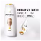 Kit Pantene Pro-V Hidratação (2 Produtos) (3)