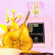 Elegance Femme Sacratu Eau de Parfum - Perfume Feminino 100ml (5)