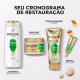 Condicionador Diário Pantene Restauração 170ml (10)