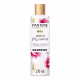 PANTENE Nutrient Blends Instant Frizz Control - Shampoo 270ml (1)