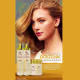 Kit Dama Hair Gold 24K (6 Produtos) (4)