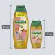 Palmolive Naturals Camélia e Óleo de Amêndoas - Sabonete Líquido Corporal 650ml (15)