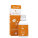 Fisioquântic Biofactor Nervoau- Indutor Frequencial Floral 50ml (2)
