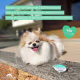 Kit Instinto Natural Calêndula - Bálsamo Hidratante para Almofadinhas Caninas (3 Unidades) (8)