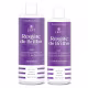 Shampoo 500ml + Cond 300ml SOS Capilar Resgate do Brilho Essenciale (1)