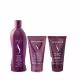 Kit Senscience True Hue Shampoo 280ml + Inner Intensif 150ml + Moisture Lock 150ml (1)