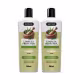 Kit 2 Unidades Shampoo de Alecrim 500ml (1)