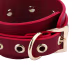 kit Thierry Bolsa de Bondage com algemas e coleira com corrente na cor vinho (9)