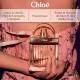 Chloé Love Story Eau de Parfum - Perfume Feminino 30ml (2)