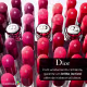 Dior Addict Stellar Halo Shine 482 Dream Star - Batom Cintilante 3,2g (3)