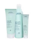 Kit Aveda Smooth Infusion Naturally Straight (3 Produtos)
